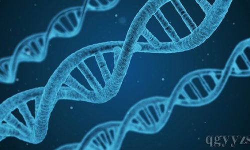 为什么生物不像机器只补充能量