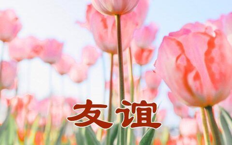 周末早安问候语正能量句子