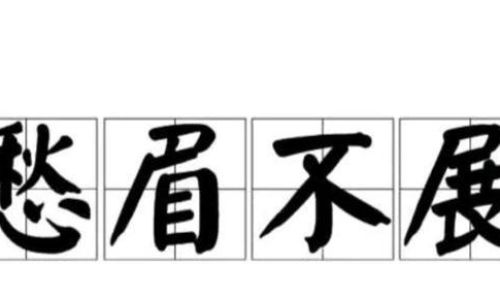 怎么理解愁眉不展的意思