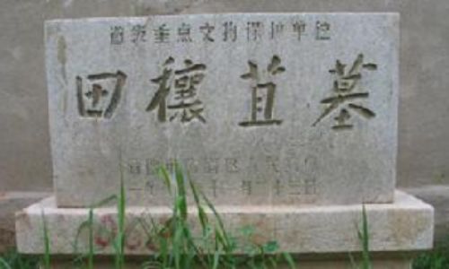 穰苴怎么读