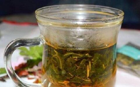 什么树叶晒干可以泡茶
