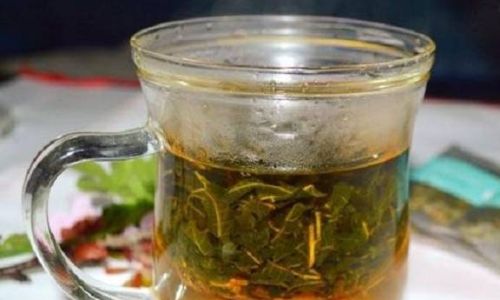 什么树叶晒干可以泡茶