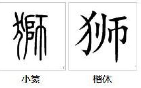 介组词