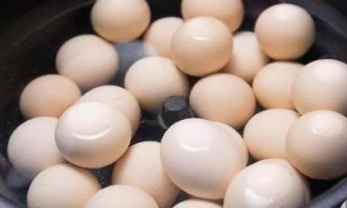 煮鸡蛋要煮多久才合适