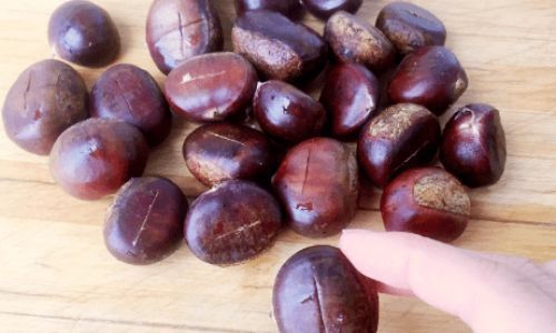 栗子皮剥不掉是品种不好不新鲜吗