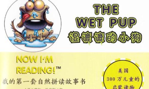 the如何读英语