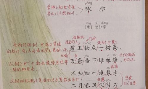 古诗咏柳意思