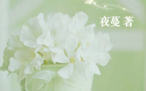 夜蔓写了什么小说