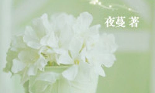 夜蔓写了什么小说
