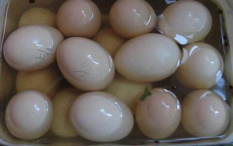 实蛋正确存放方法