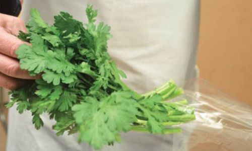 菠菜冬天如何储存