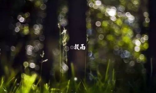 谷雨诗句