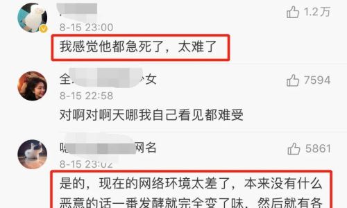 上周是什么意思