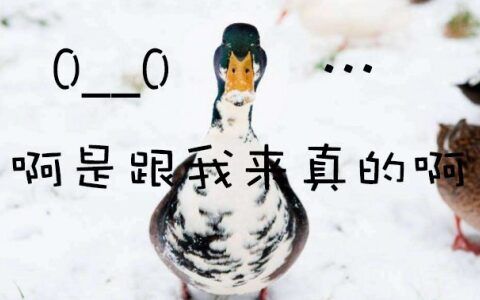 鸭屁股意思是什么