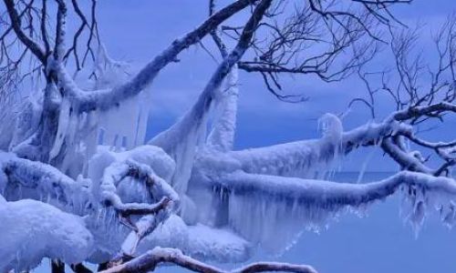 描写冬天雪景的诗句有什么