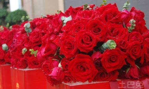 玫瑰花送几朵都代表什么意思