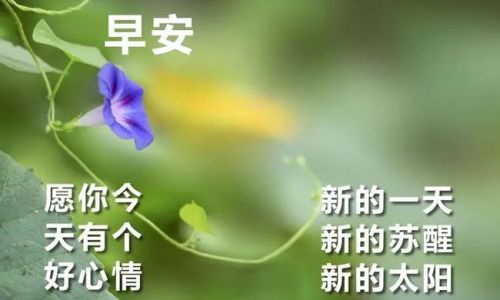 清晨问候语有哪些