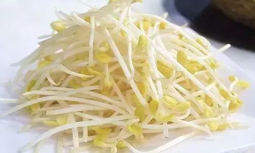 黄豆芽热量