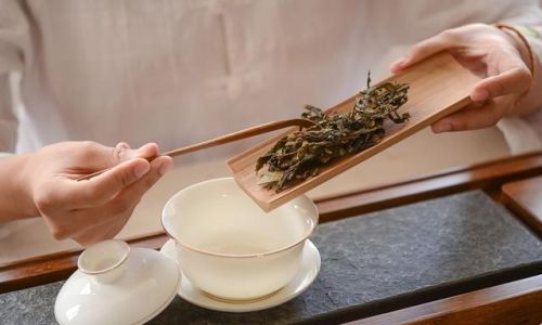 生潽如何冲泡