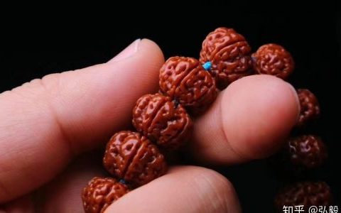 大金刚菩提青皮果子如何清洗