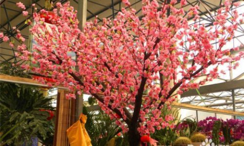 仿真花仿真树在挑选时需要注意什么