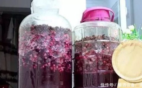 酿制葡萄酒要不要洗葡萄