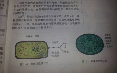 原核细胞和真核细胞的区别介绍