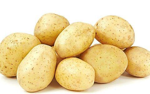 冻土豆什么意思