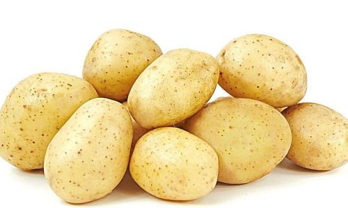 冻土豆什么意思