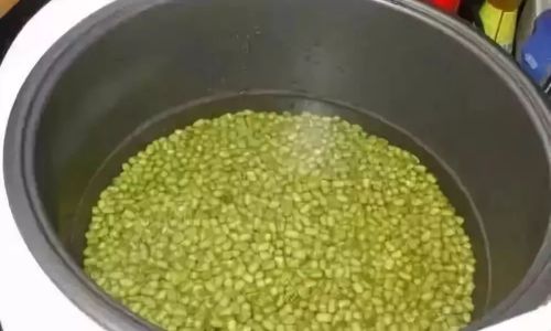 绿豆汤煮了放在冰箱4天还可以喝吗