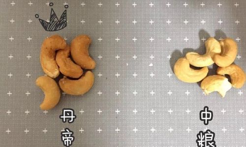 腰果产地是哪个地方