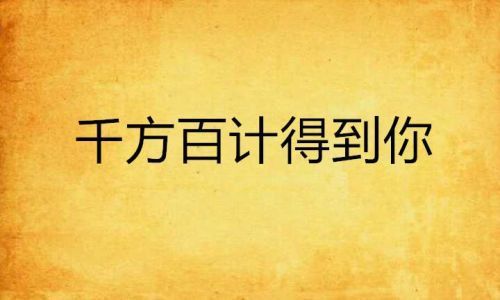 千方百计什么意思