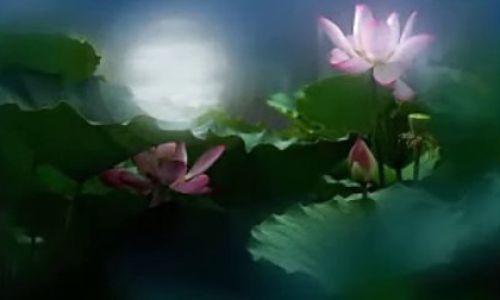 荷塘月色概括
