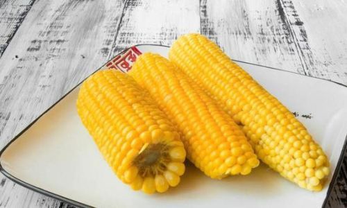 玉米可以冷冻储存吗