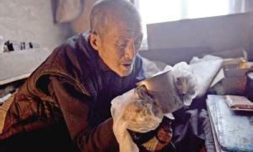 耄耋之年指80岁吗