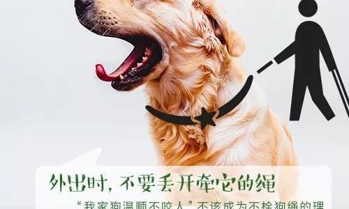 已婚妇女梦见狗咬自己