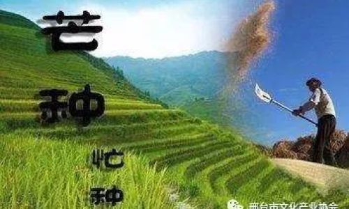 芒种介绍