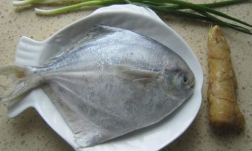 鲳怎么读