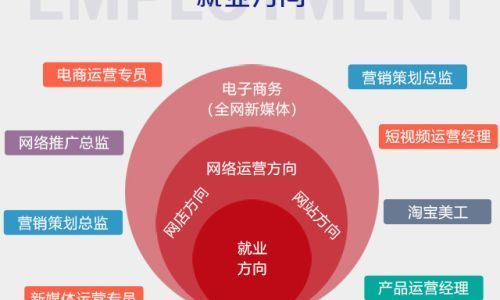关于电子商务专业就业方向介绍