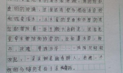 一路上的风景作文