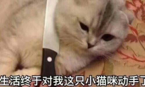 梦见捉鸡是什么意思呢