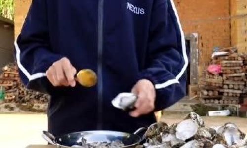 判断生蚝新鲜不新鲜的方法