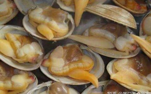 河蚌如何判断是否新鲜
