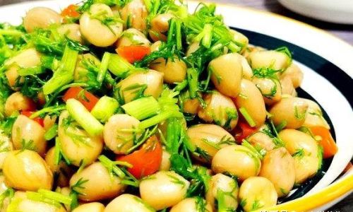 哪些食材需要大料