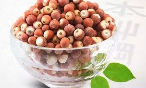 芡实泡水用生的好不好