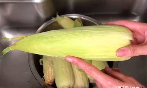 新鲜毛笋如何保存时间最长