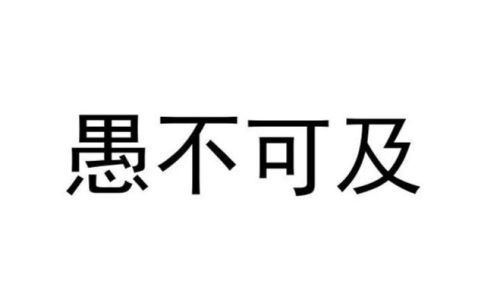 什么不可什么成语