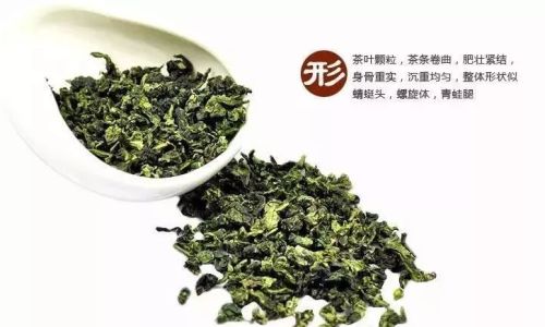安溪铁观音茶叶的分类介绍