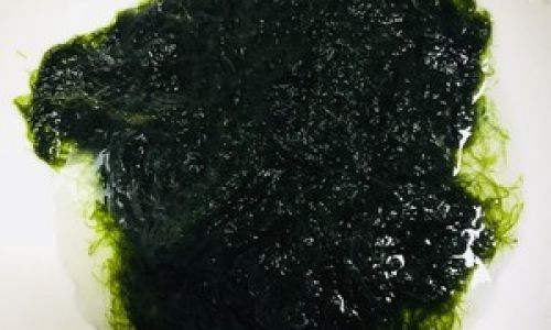 海苔怎么做好吃