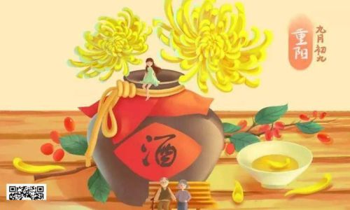 什么节日要登高采菊